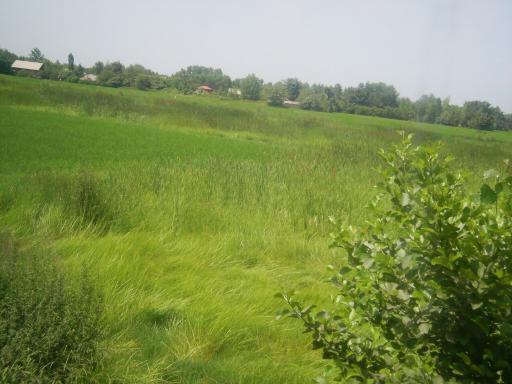 عکس پهمدان