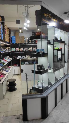 عکس پردیس کتونی