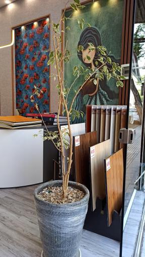 عکس دکوراسیون فُ