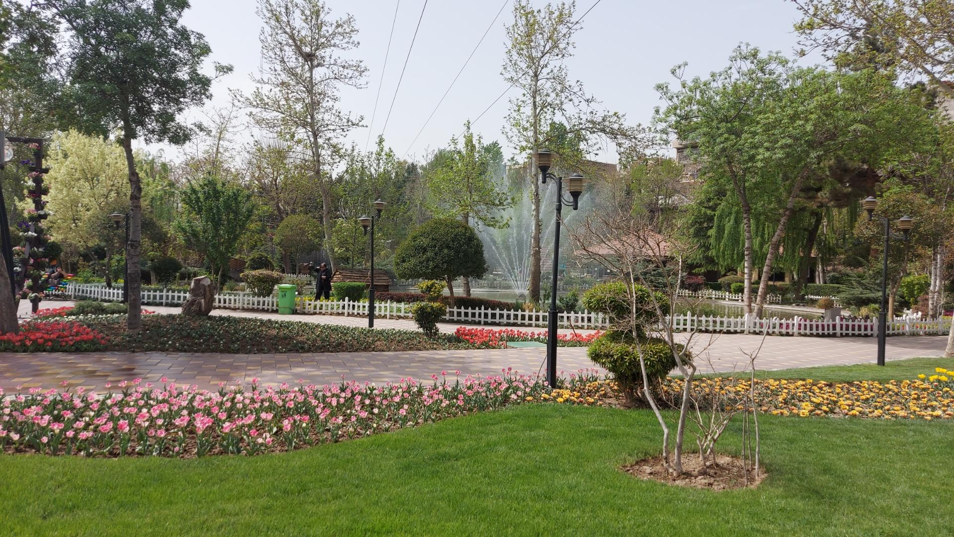 عکس پارک لاله ها