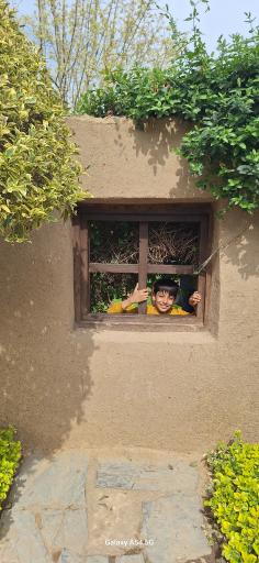 عکس پارک لاله ها