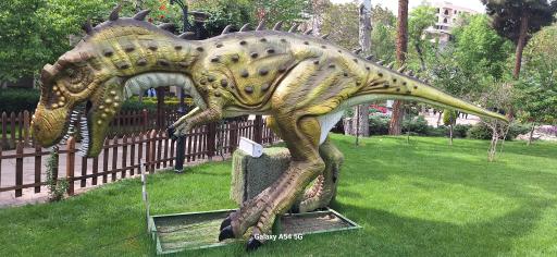 عکس پارک لاله ها