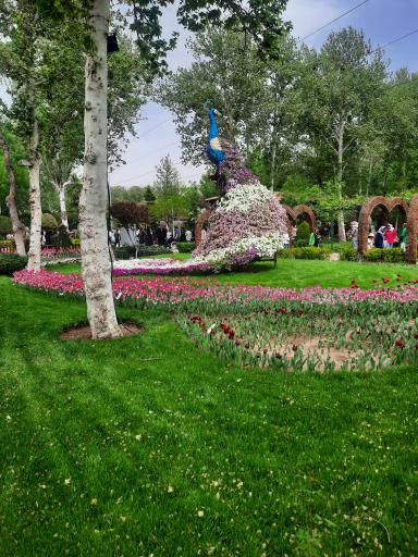 عکس پارک لاله ها