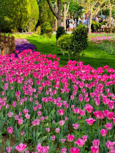 عکس پارک لاله ها