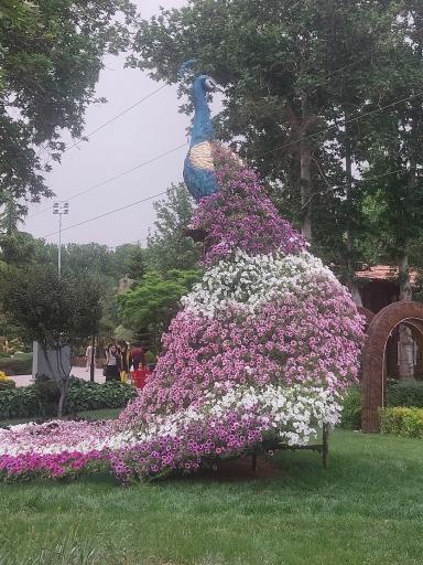 عکس پارک لاله ها