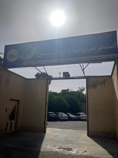 عکس استخر نرجس