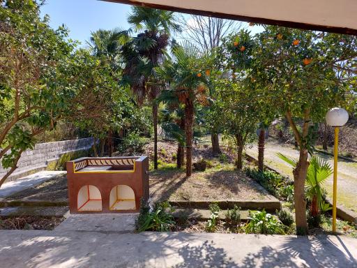 عکس مجتمع ستاره سحر