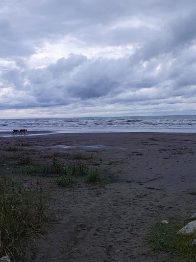 عکس مجتمع ستاره سحر