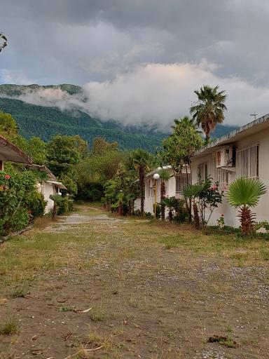 عکس مجتمع ستاره سحر