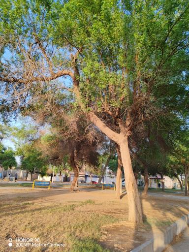 عکس پارک شقایق