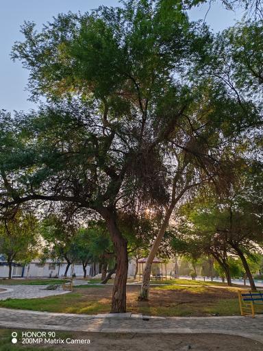 عکس پارک شقایق