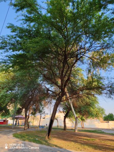 عکس پارک شقایق