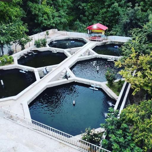 عکس پرورش ماهی ساحل