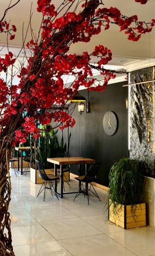 عکس سان کیک بیکری