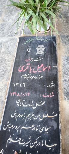 عکس قطعه شهدا
