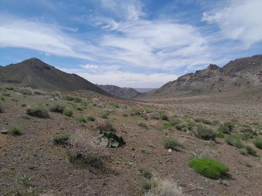 عکس کوه پنج