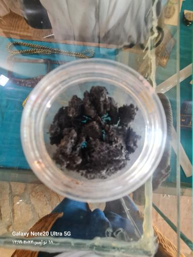 عکس خانه موزه روستایی ناخدا علی