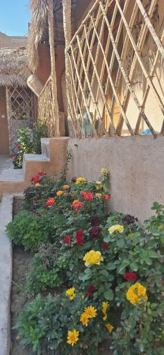 عکس اقامتگاه بوم گردی ساباط