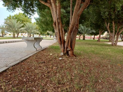 عکس بوستان ایران زمین