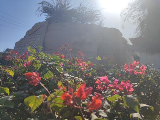 عکس بوستان ایران زمین