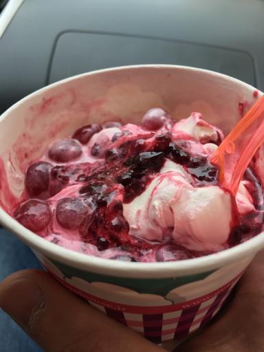 عکس جلاتو هاوس