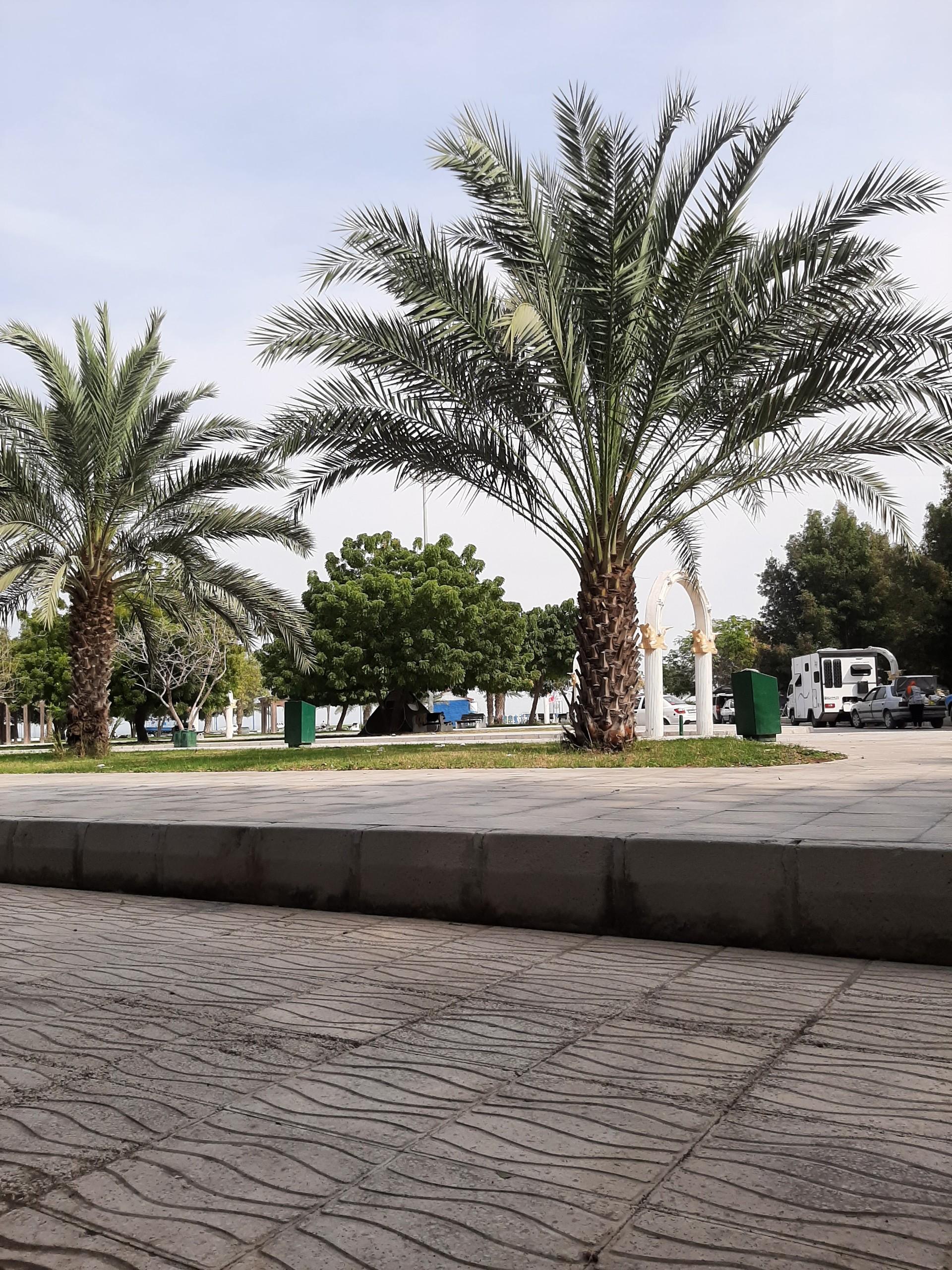 عکس بوستان ایران زمین