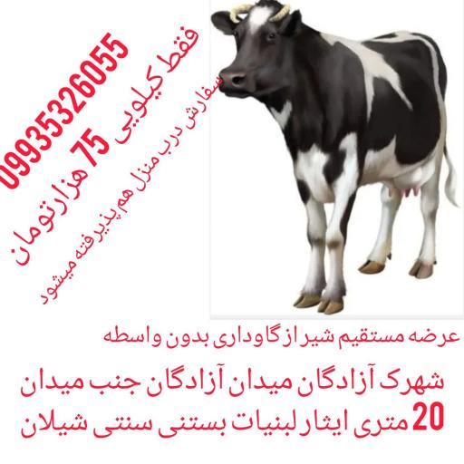 عکس لبنیات سنتی شیلان