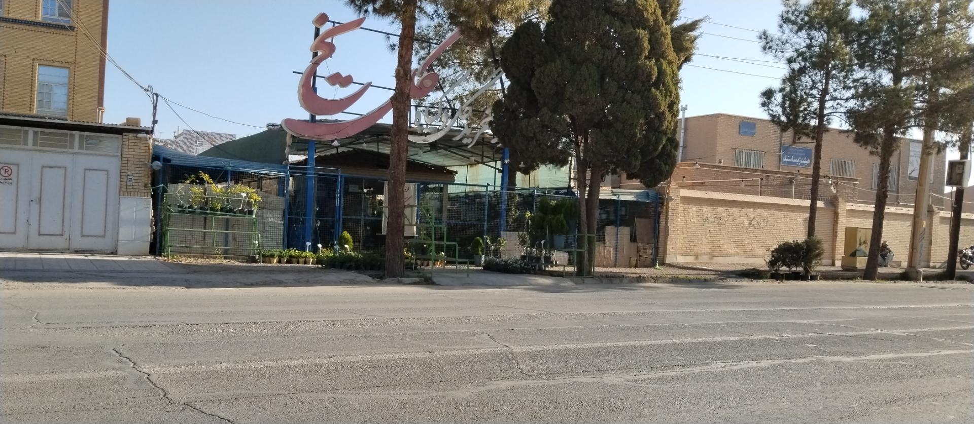 عکس گل فروشی گل یخ