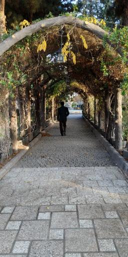 عکس پارک وحدت