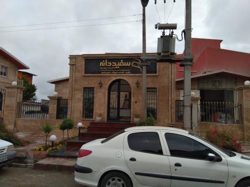 عکس سفید دانه ماکیان ایرانیان