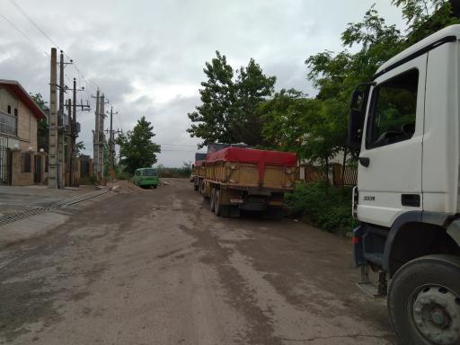 عکس سفید دانه ماکیان ایرانیان