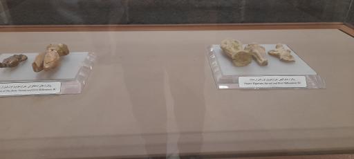 موزه و آرامگاه شاه اسماعیل صفوی