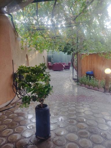 عکس کافه رستوران باغ ماهان