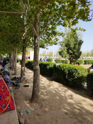 عکس بوستان آب حسن آباد مهریز