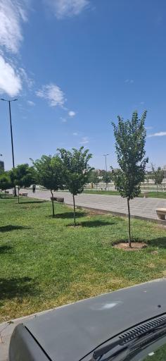 پارک باغشمال