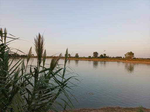 عکس آب بندان رودبست بابلسر