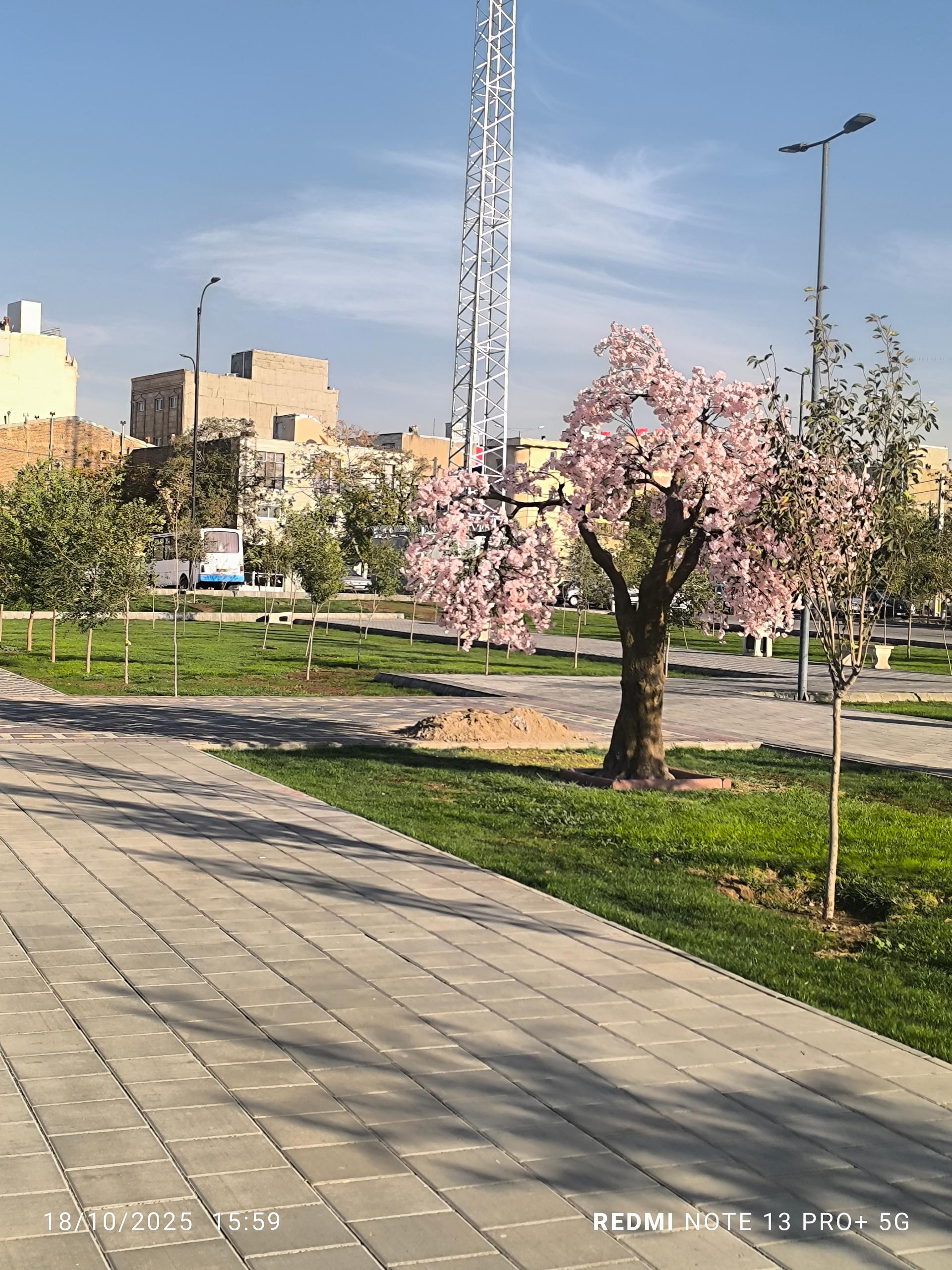 عکس پارک باغشمال