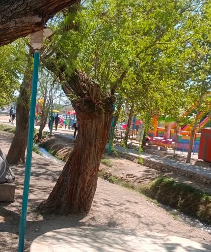 عکس بوستان آب حسن آباد مهریز