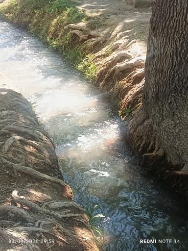 عکس بوستان آب حسن آباد مهریز