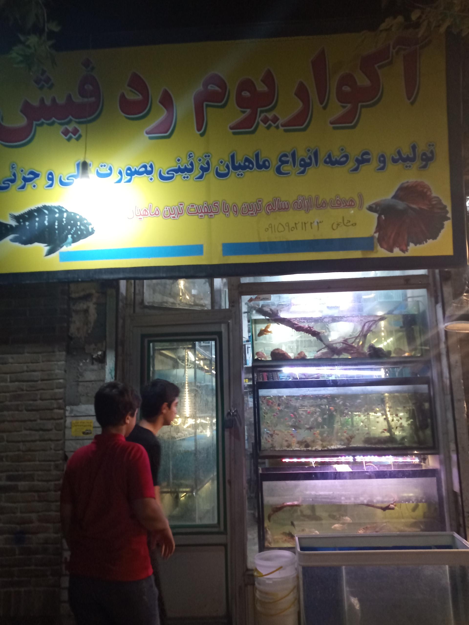 عکس آکواریوم رد فیش