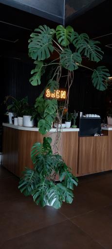 عکس کافه سین