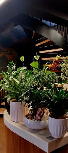 عکس کافه سین