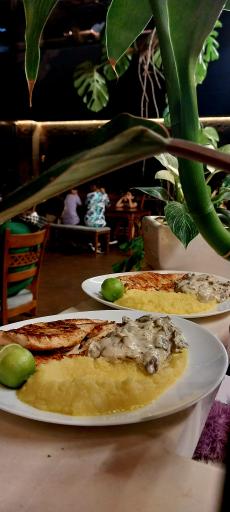 عکس کافه سین