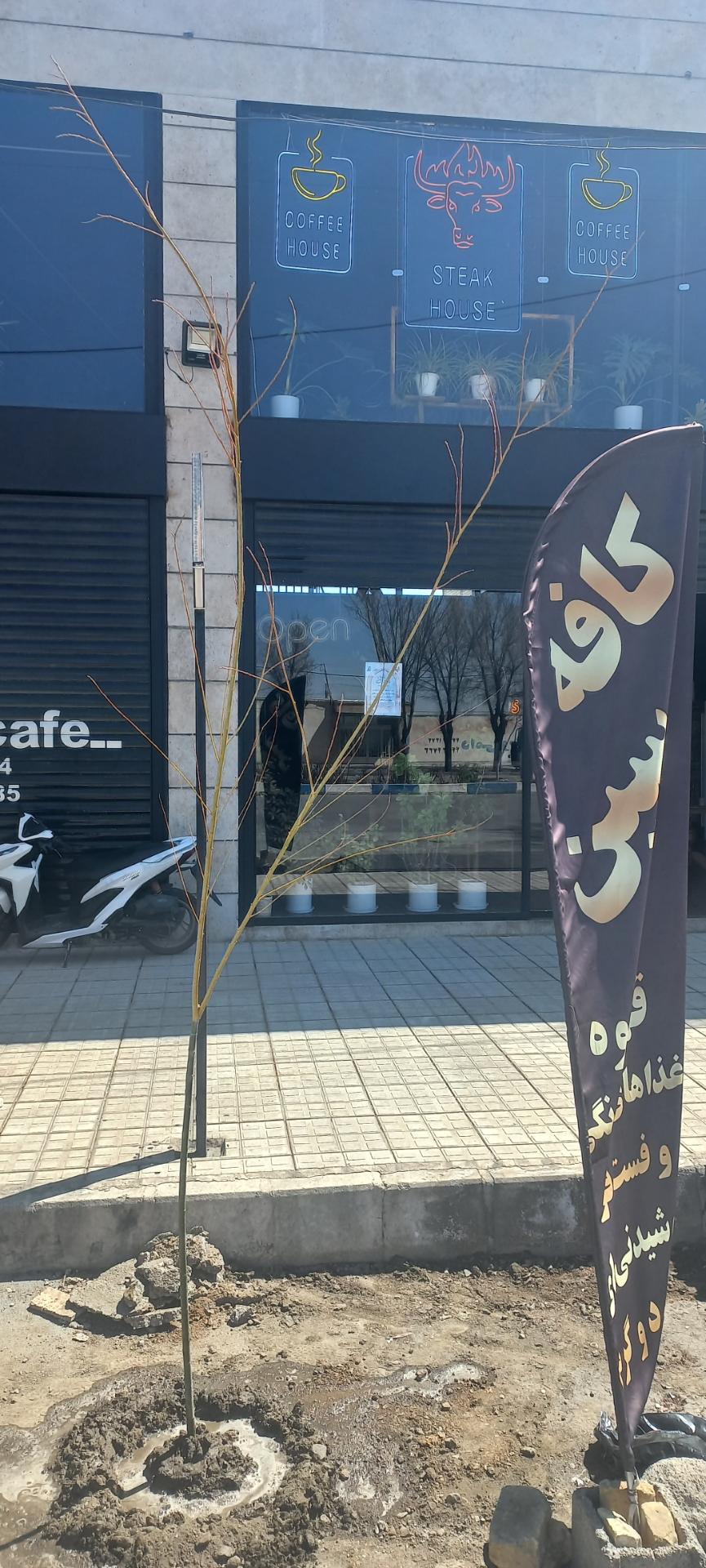 عکس کافه سین