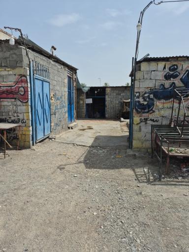 عکس مرغ فروشی عدالت