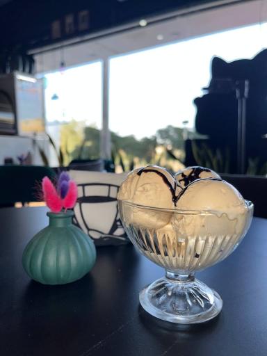 عکس کافه پیشی