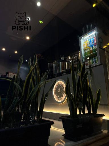 عکس کافه پیشی