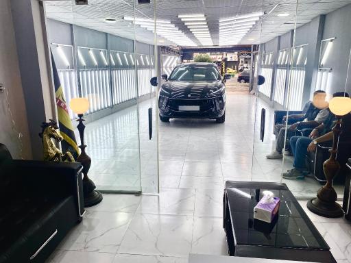 عکس تشخیص رنگ ایرانیان