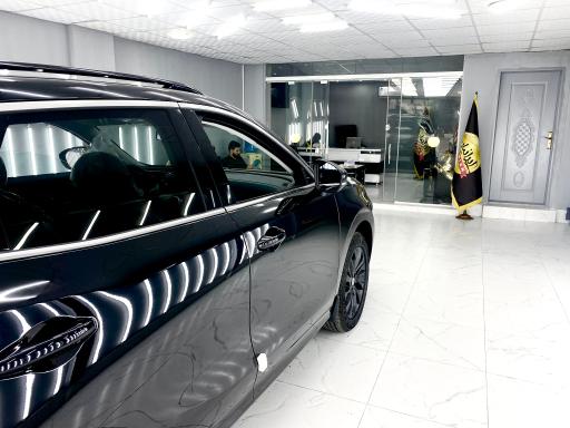 عکس تشخیص رنگ ایرانیان