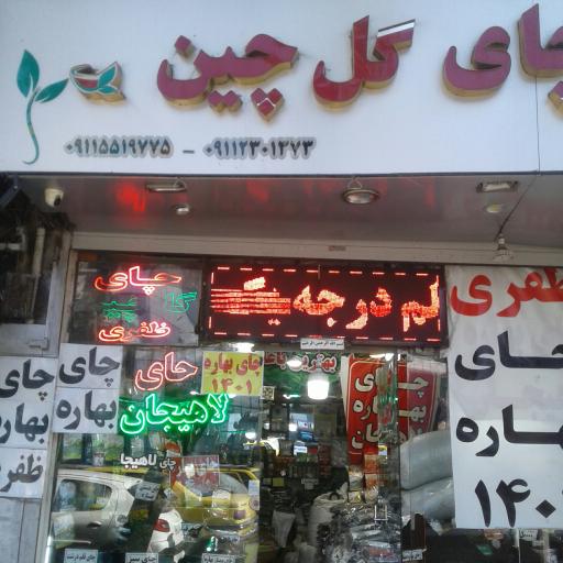 عکس چای ظفری